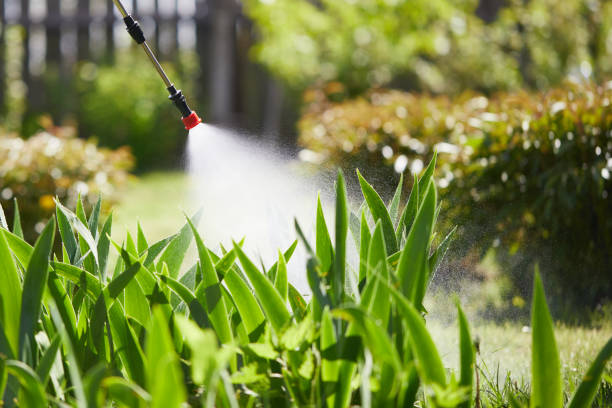 24/7 Emergency Rodent Control experts in North Bonneville, WA