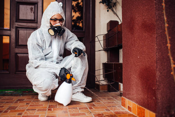 Reliable Rodent Control contractor in North Bonneville, WA by Nex Pest Control