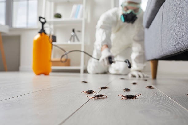 Trusted Emergency Pest Control service in North Bonneville, WA - Nex Pest Control